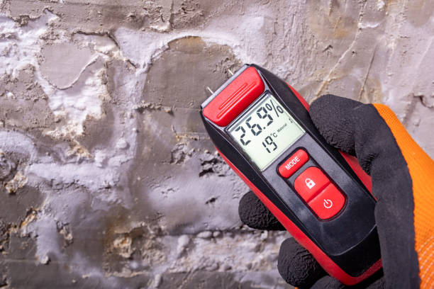 Best Mold Testing  in Carefree, AZ