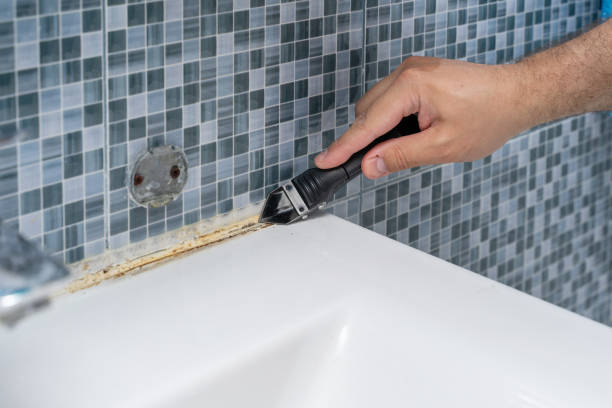 Best Mold Remediation  in Carefree, AZ